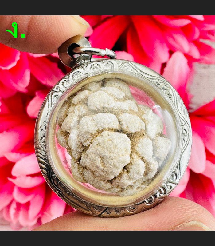 Brain Stone Sarira Sivali Arahan Buddha Relic Money Wealth Thai Amulet #17747